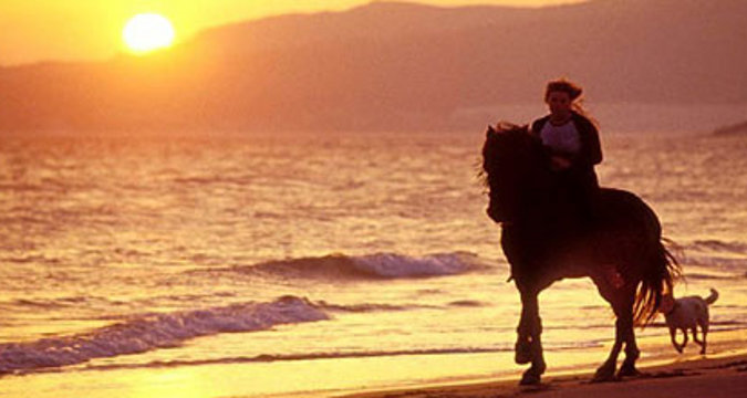 horseback riding on beach. Horse riding is indeed in